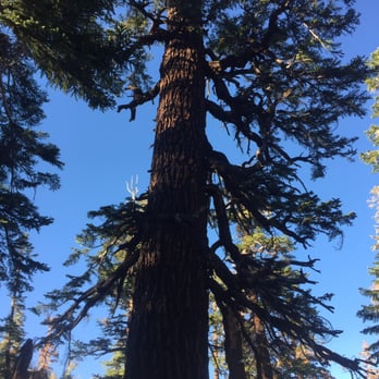 Earthquake Fault - Parks Near Me - Mammoth Lakes, California