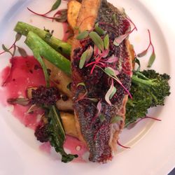 The Bistro On 2nd - Sea Bass Special with Raspberry Reduction Broccolini and Fingerlings!