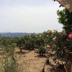Le Castellaras