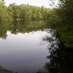 Wesloer Moor