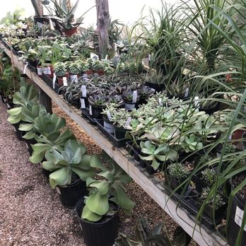 Barton Springs Nursery - Nurseries & Gardening Near Me - Austin, Texas