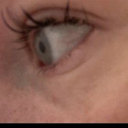Lash and Brow Spa - A couple days after my first service