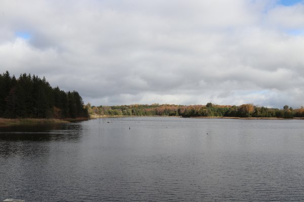 Island Lake Conservation Area by null