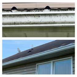 Kocher's Pressure washing