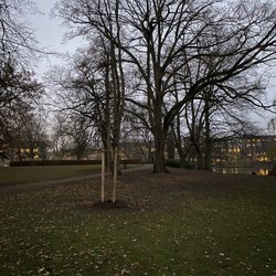Schrevenpark - ... Herbststimmung ...