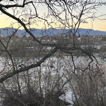 View 202 - View from outdoor seating - Seafood Near Me - Redding, California
