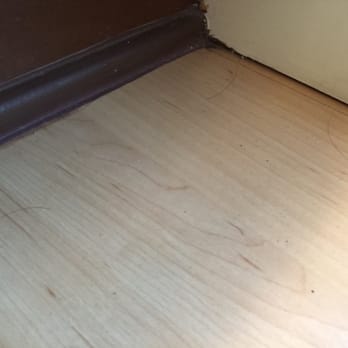 Clean Sweep LA - Maybe try vacuuming next time. - Carpet Cleaning Near Me - North Hollywood, California Clean Sweep LA - Maybe try vacuuming next time. - Carpet Cleaning Near Me - North Hollywood, California
