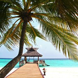 Landon World Travel