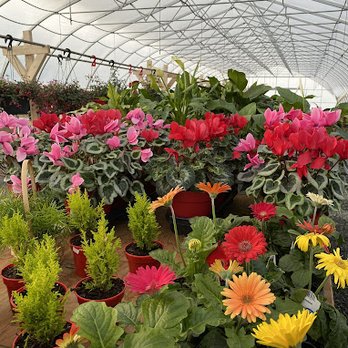Acme - Acme Farms & Nurseries - Nurseries & Gardening Near Me - Delta, British Columbia Acme - Acme Farms & Nurseries - Nurseries & Gardening Near Me - Delta, British Columbia