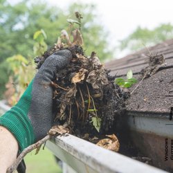 Morris Family Window & Gutter Cleaning - Gutter Cleaning Pros