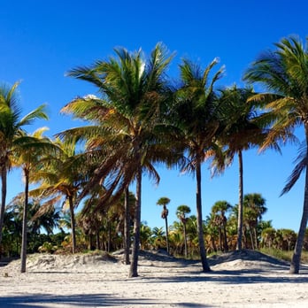 Crandon Park - Parks Near Me - Key Biscayne, Florida