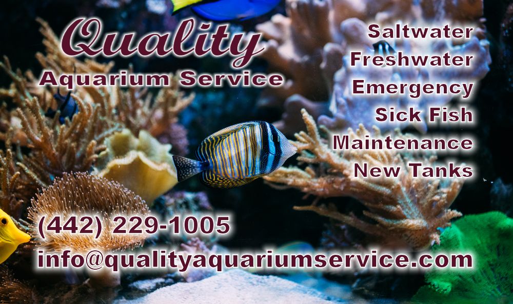 QUALITY AQUARIUM SERVICE Hesperia, California Aquarium Services