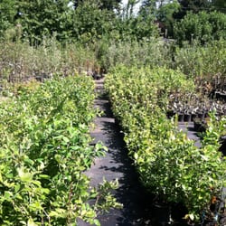 Harvest Nursery