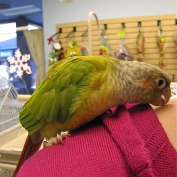 All About Birds - Pet Stores Near Me - Pennington, New Jersey