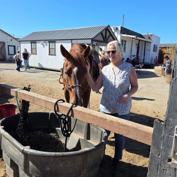 Ocean View Stables - Sweet Mocha getting loves. - Horseback Riding Near Me - Daly City, California