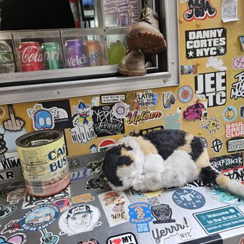 Bodega Truck - Bodega down to the resident mouser LOL - Food Trucks Near Me