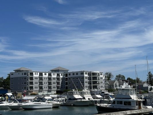 Belle Isle Seafood by null