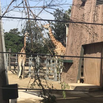 Taronga Zoo - Zoos Near Me - Mosman, NSW