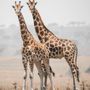 Photo of Kabira Safaris & Tours