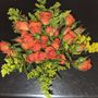Market Street Floral