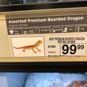 Petco - Pet Stores Near Me - Gig Harbor, Washington