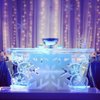 Full Spectrum Ice Sculptures gift card