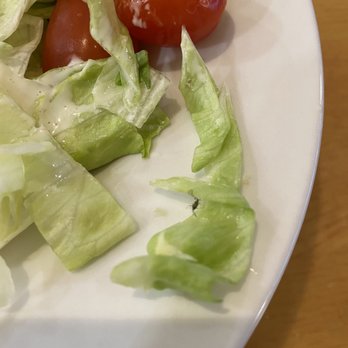 Hampden Diner - Side salad with a bug in it! YUM! - Diners Near Me - Mechanicsburg, Pennsylvania Hampden Diner - Side salad with a bug in it! YUM! - Diners Near Me - Mechanicsburg, Pennsylvania