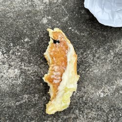 Wendy's - Not sure if you can tell by the photo but yep that's a fly