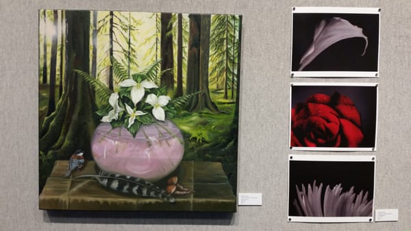 North Seattle College by null