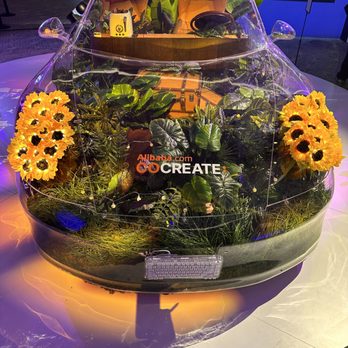 CCWEA - 2023 Alibaba presents Cocreate conference in Las Vegas, Nevada - Accountants Near Me - Glendale, California