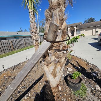 Blue Sky Landscaping - Artificial Turf Near Me - Sarasota, Florida Blue Sky Landscaping - Artificial Turf Near Me - Sarasota, Florida