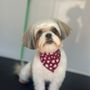 Pet Spa Luxe