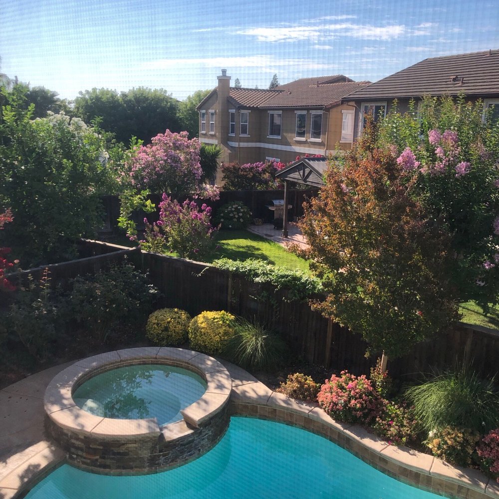 Blue Light Pools - This is the pool when it's clean. - Pool Cleaners Near Me