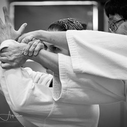 Traditional Aikido of Sarasota - Aikido teaches balance, focus, and discipline.