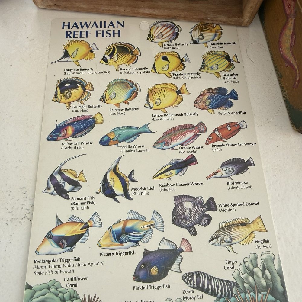 Living Ocean Tours - Snorkeling Near Me - Honolulu, Hawaii Living Ocean Tours - Snorkeling Near Me - Honolulu, Hawaii