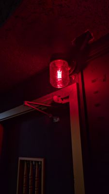 Jaguar Room by null