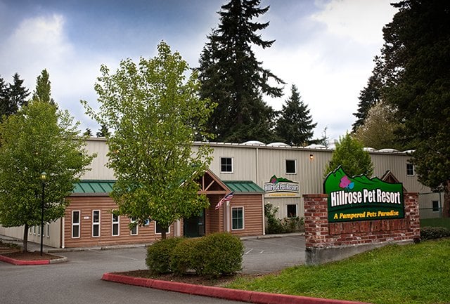 Hillrose Pet Resort - pet boarding facility in Seatac, WA