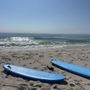 Right Coast Surf Shop