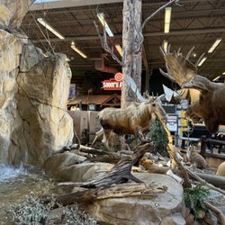 Bass Pro Shops