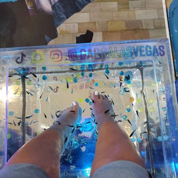 Dr Fish Spa - Day Spas Near Me - Las Vegas, Nevada Dr Fish Spa - Day Spas Near Me - Las Vegas, Nevada