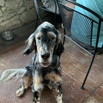 Dry Comal Creek Vineyards - DOGS ALLOWED! - Venues & Event Spaces Near Me - New Braunfels, Texas Dry Comal Creek Vineyards - DOGS ALLOWED! - Venues & Event Spaces Near Me - New Braunfels, Texas