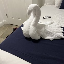 The Beachwood Motel - A towel swan !!