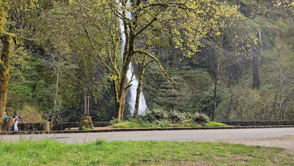 Horsetail Falls Logo