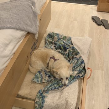 Best Friends Roadhouse - Kiki on her pull-out. She claimed it first :) - Hotels Near Me - Kanab, Utah