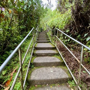 Akaka Falls State Park - Stairs to the falls - Parks Near Me - Honomu, Hawaii Akaka Falls State Park - Stairs to the falls - Parks Near Me - Honomu, Hawaii