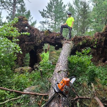 Vermilion Tree Service - Tree Services Near Me - Tower, Minnesota Vermilion Tree Service - Tree Services Near Me - Tower, Minnesota