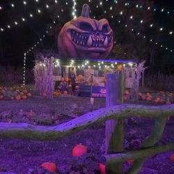 Creamy Acres Night of Terror - Pumpkin patch at Night of Terror