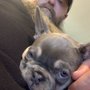 Photo of T0TAL K-9