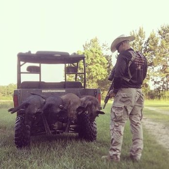 DBG Hog Removal - Wildlife Control Near Me