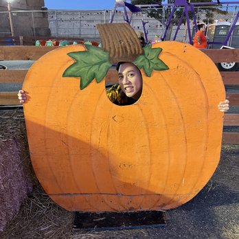 The Pumpkin Factory - Pumpkin - Festivals Near Me - Westminster, California The Pumpkin Factory - Pumpkin - Festivals Near Me - Westminster, California
